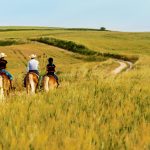 Escursione a cavallo. Sulla Via del grano