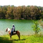 A cavallo alla ricerca del Lago argentato